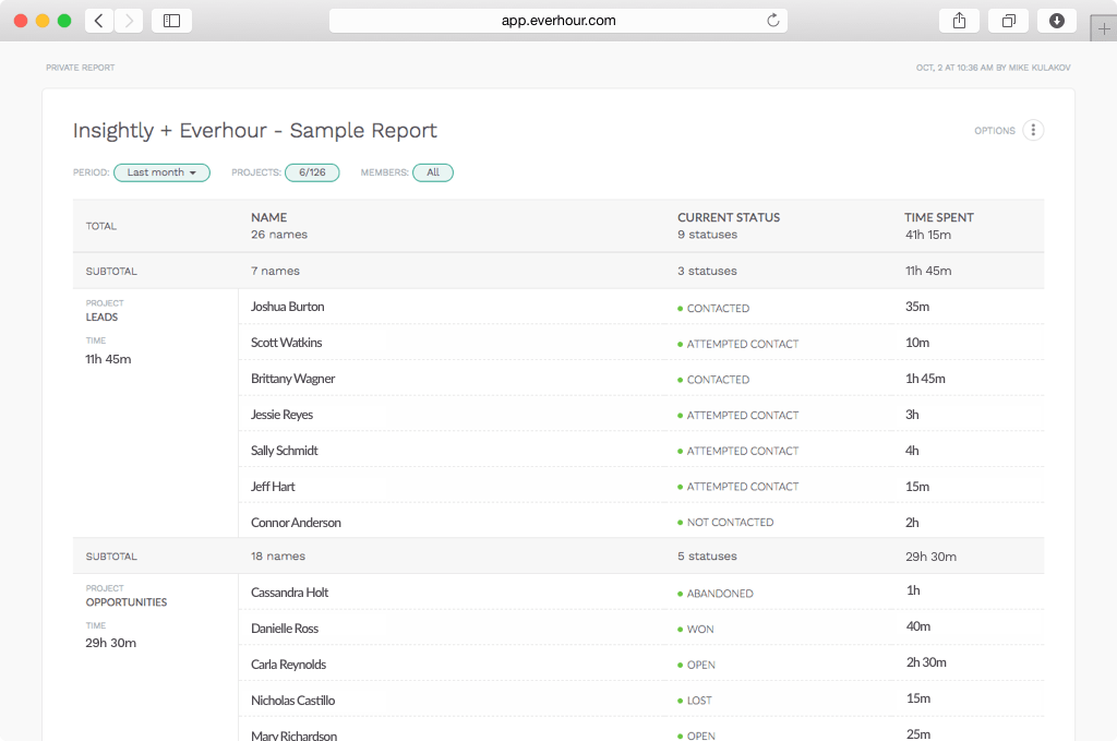 Insightly time tracking integration - Report sample