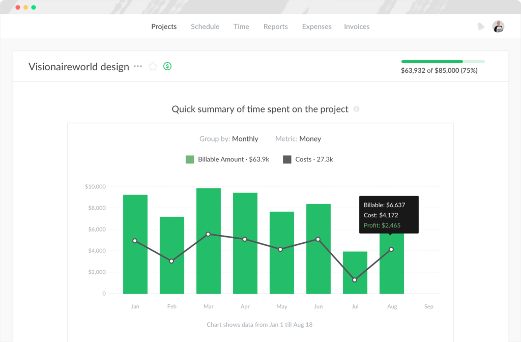 Project summary in Everhour screenshot