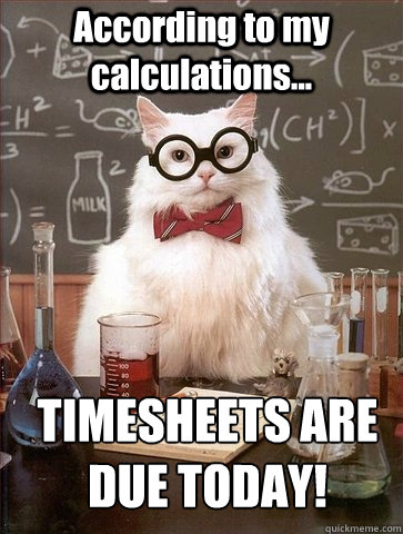 Top Timesheet Memes To Meet The Payroll Deadline Everhour