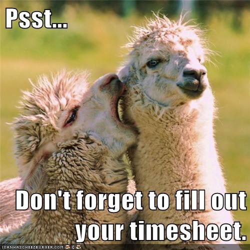 top timesheet memes to meet the payroll deadline