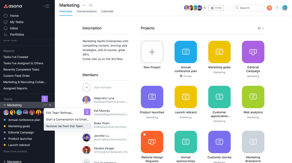 Asana Task Management