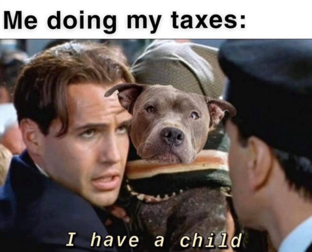 Funny Accounting Memes to Get You Through Tax Season