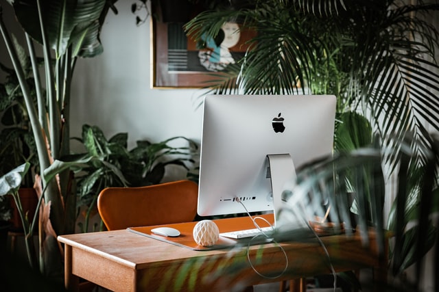 Modern home office setup with modern computer and houseplants with