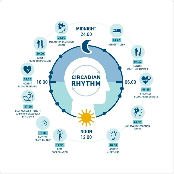 what is a rotating shift? exploring the main advantages & challenges