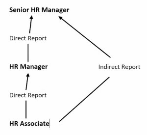 direct reports unveiled: navigating organizational structures with precision